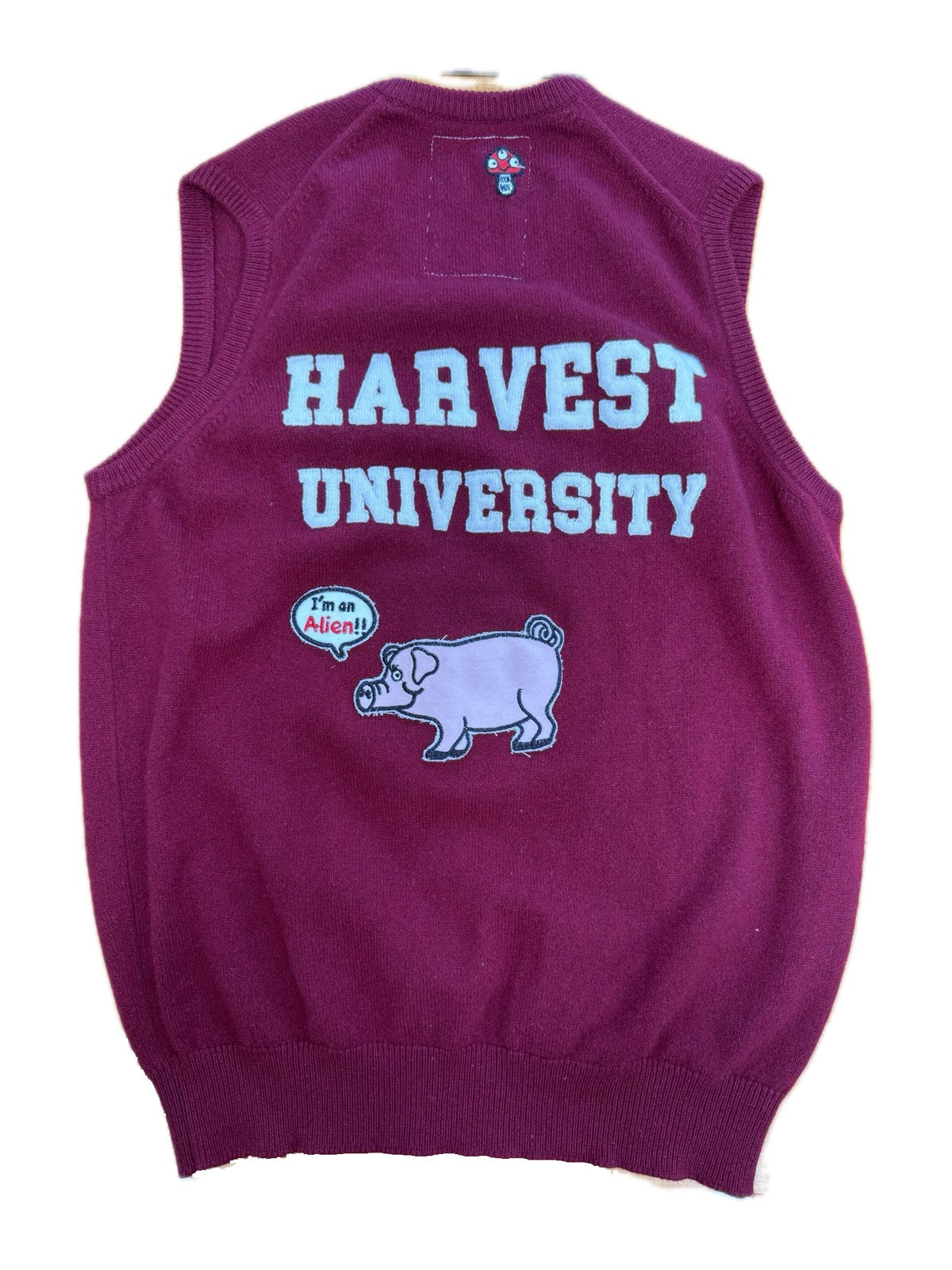 Recycled Cashmere V-Neck Vest — Burgundy "H / HARVEST UNIVERSITY" Pig (Women's M)